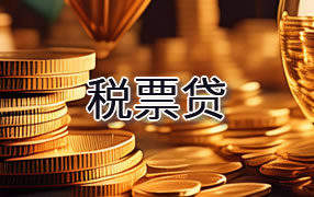 迪庆税票贷