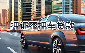 迪庆押证不押车贷款